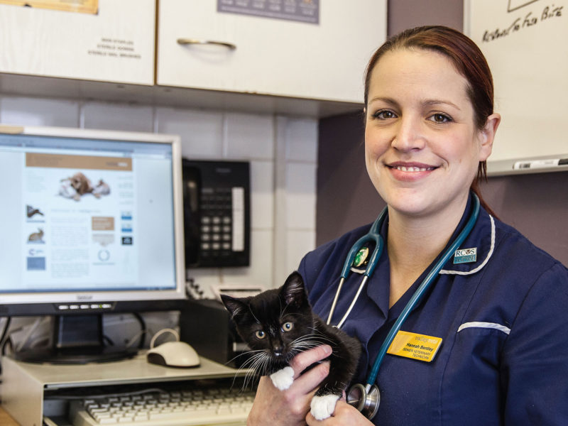 The Valley Way – Valley Vets Referrals